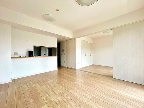 ルイシャトレ川口レックスフォート リビング・ダイニング・キッチン約13.9畳