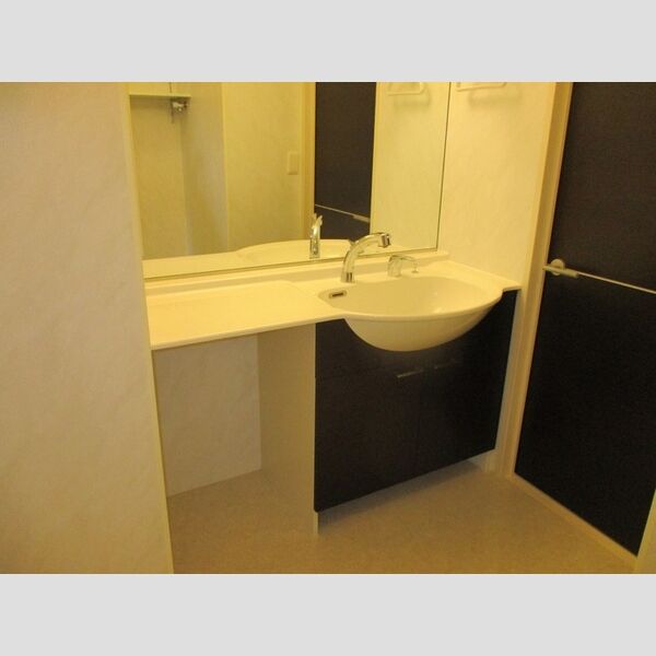 Crea Fleur(クレア・フルール)201号室 洗髪洗面化粧台