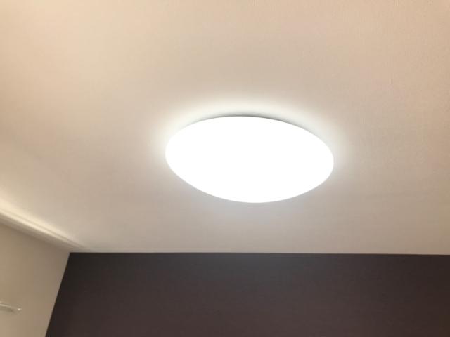 川口市大字安行領根岸　アパート新築工事203号室 照明器具（イメージ）