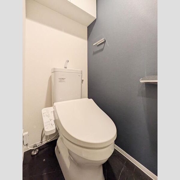 S-RESIDENCE大森bresa602号室 トイレ