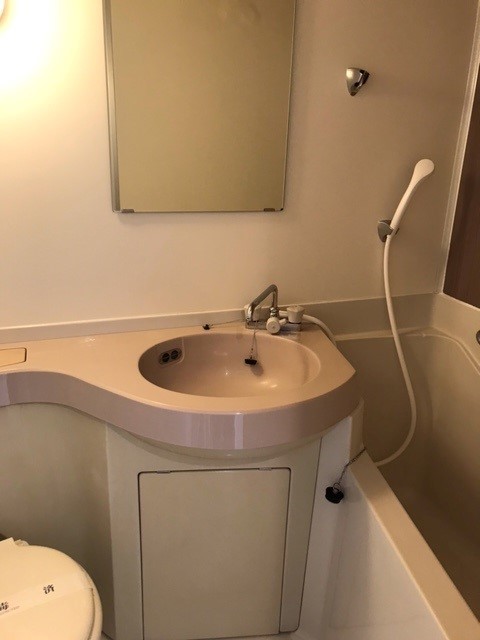 ＫＥＮＺＯ　ＨＡＵＳ　ＥＫＯＤＡ0901号室 洗面