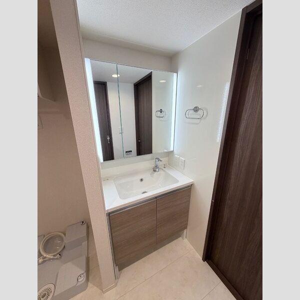 シンビジウム湘南台301号室 洗面所