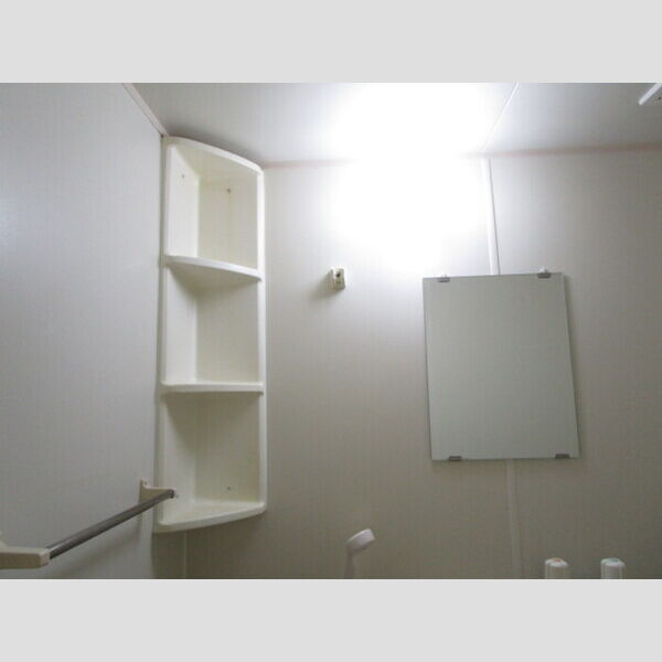 ドミールシャルマン306号室 浴室