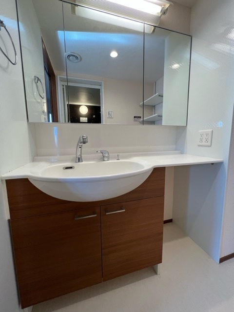 ＳＯＬＥＩＬ　ＡＯＹＡＭＡ0302号室 洗面