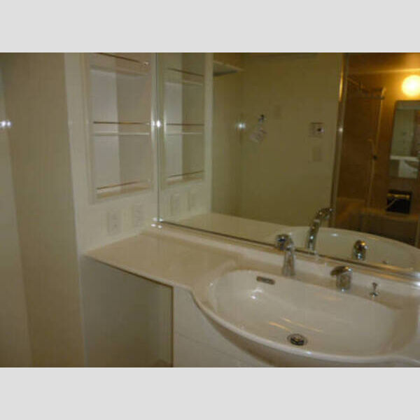 ミールレ野川Ⅱ302号室 ミールレ野川Ⅱ302洗髪洗面化粧台