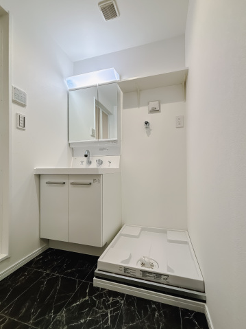 スカイルーチェ南浦和403号室 洗面