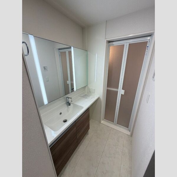 シンビジウム湘南台303号室 洗面所