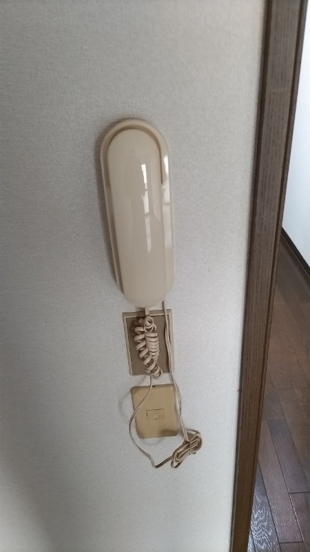 フローラルTokuzumi(E-187)1階 インターホン