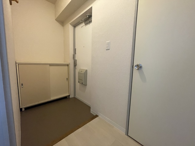 サンハイツ大久保A102号室 玄関