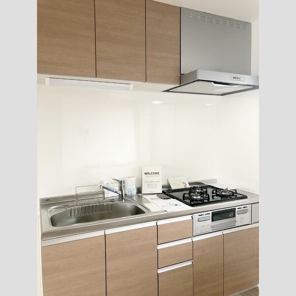 ヴェルデめいわ　B102号室 システムキッチン