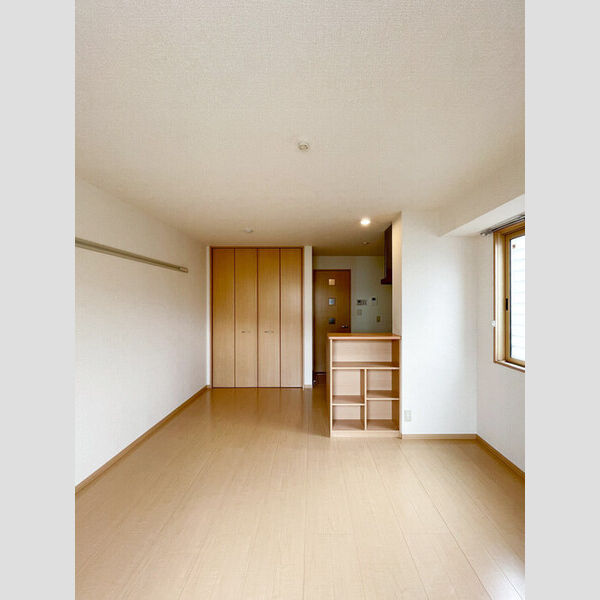 ロイヤルパレス 洋室11帖