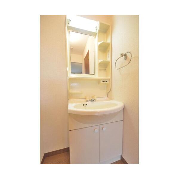 エステートピア長沢202号室 洗面