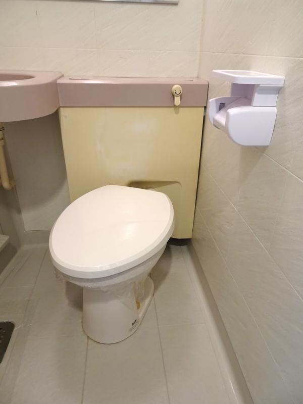 SOCIETY MINAMI-GYOUTOKU(K-017)3階 トイレ