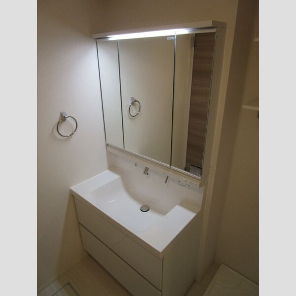 クレスト谷原101号室 洗面台