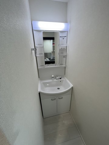 ハーモニー東十条テラス0203号室 洗面