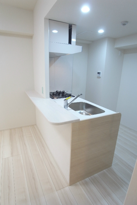 アビタシオン菊川 キッチン