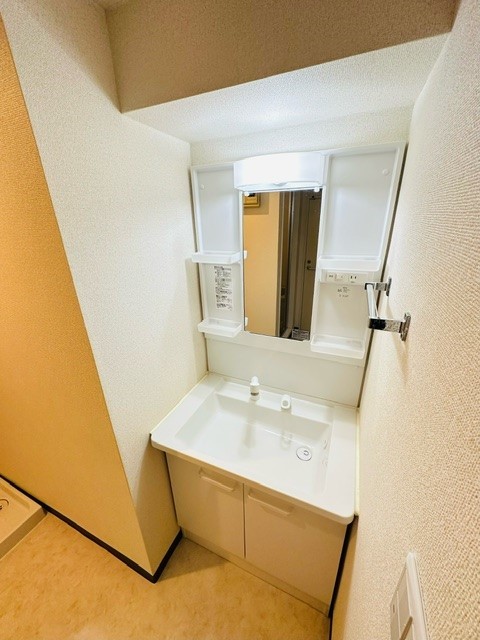 ハウス２１ＯＧＡＷＡ0106号室 洗面