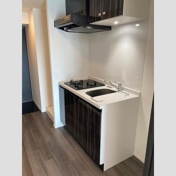 S-RESIDENCE川口Luchia202号室 洗面