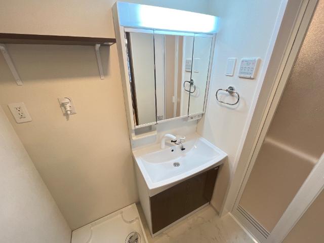 グラン・レセルバ浦和 洗面