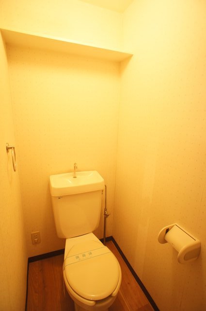 第５藤ビル0305号室 トイレです