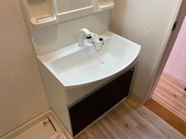 エクセレントヒルズ 洗髪洗面化粧台