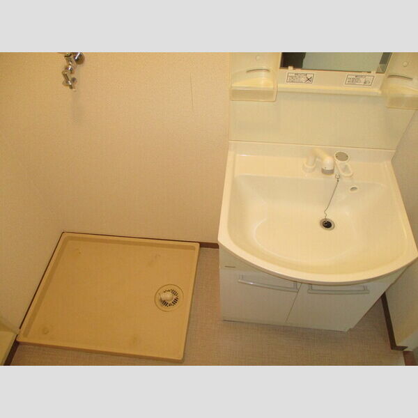 ドミール　D205号室 D205(洗髪洗面化粧台、室内洗濯機置場)