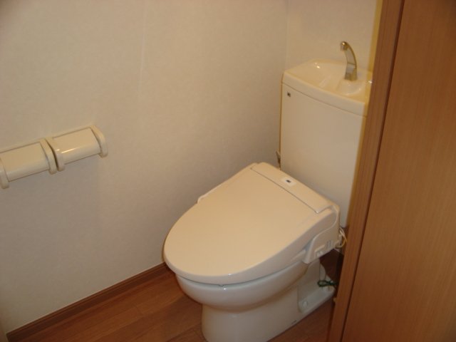 ヴィアーレ・ガーナ403号室 トイレ