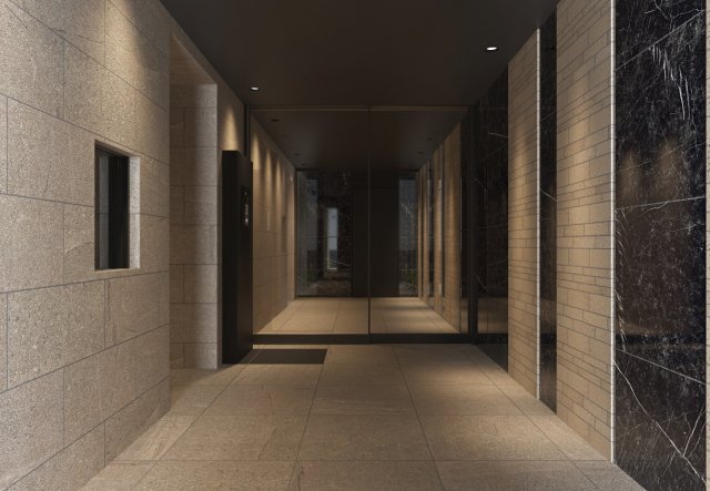 DIPS東十条駅前RESIDENCE506号室 エントランス