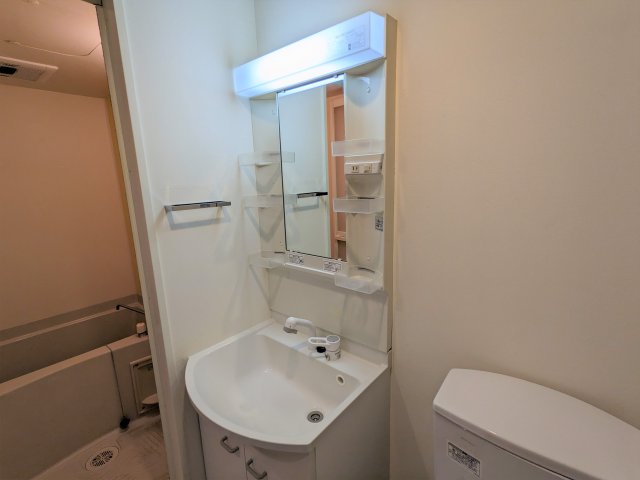 ルポール北加瀬315号室 洗面
