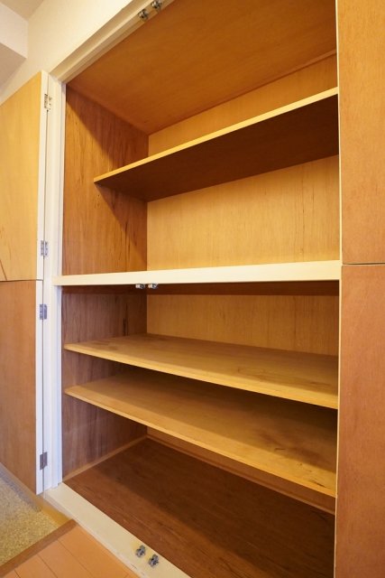 ダイアパレス尾久駅前第二3階 収納