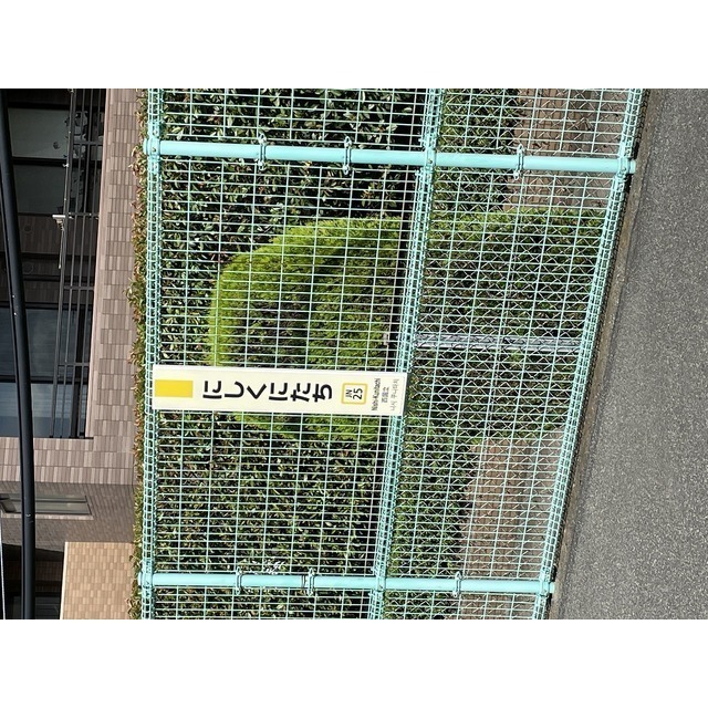 アムール錦 周辺