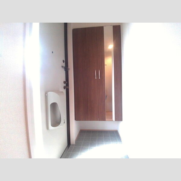 Dreamer House(ドリーマーハウス)202号室 玄関