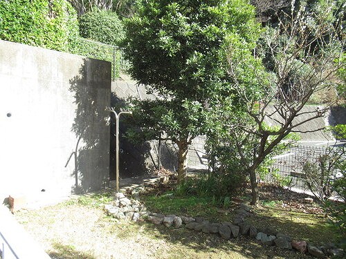 グリーンコーポ篠原第２Ｊ棟1階 専用庭