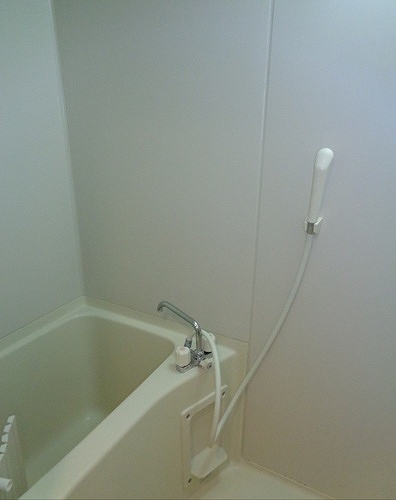 ＡＶＡＮＺＡＴＡ　ＤＭ 浴室　※2025年10月撮影