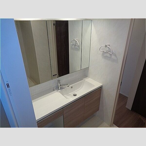 D-room請西南 B棟 洗面台