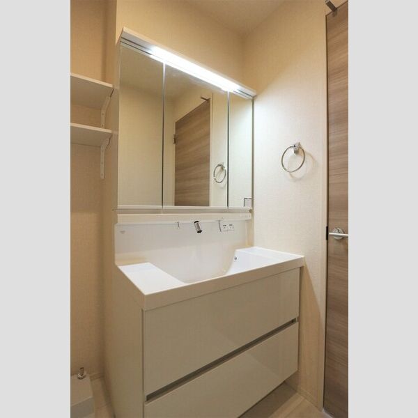 メゾン・エール 洗髪洗面化粧台