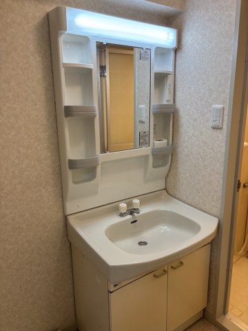サンパレスＣＡ田中205号室 洗面