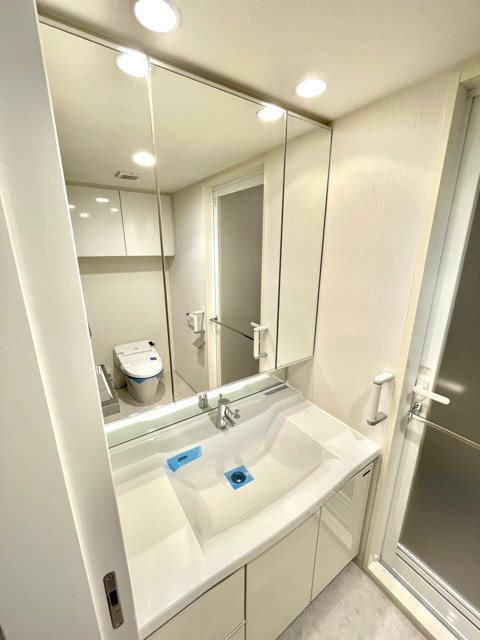 レジディアタワー上池袋（タワー棟）4階 洗面