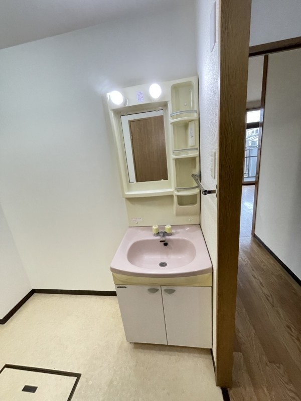 ルネス常盤平5階 洗面