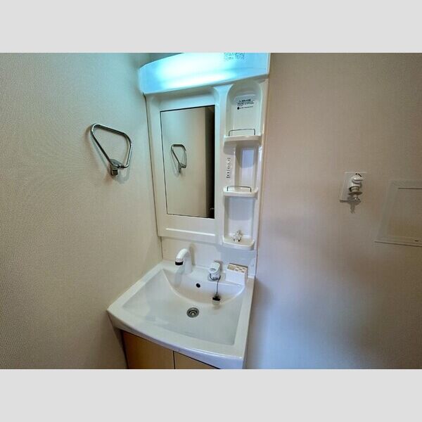 リーセント・メゾンS202号室 洗面所