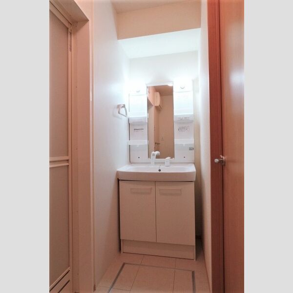 メゾンリッシュ　C101号室 洗髪洗面化粧台