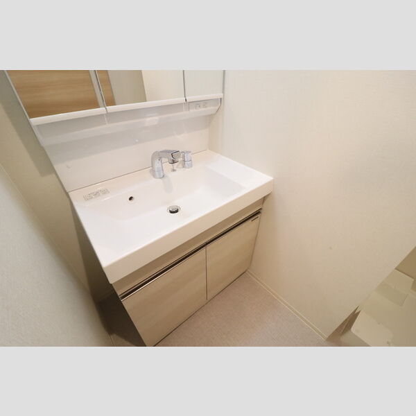 Grand　Vert (グランヴェール)307号室 洗髪洗面化粧台