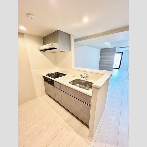 ロイジェント南池袋0501号室 キッチン