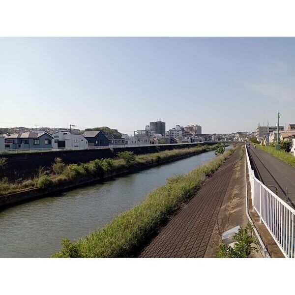 Relafort綱島104号室 周辺