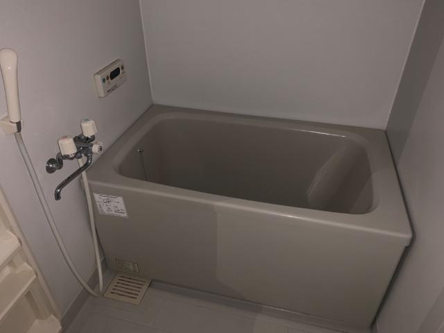 プラシード バス