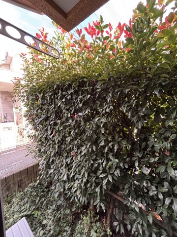 ドルフタケオ0105号室 展望