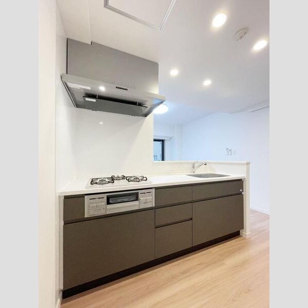 S-RESIDENCE板橋大山brim902号室 キッチン