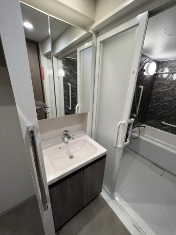 DIPS野方304号室 洗面