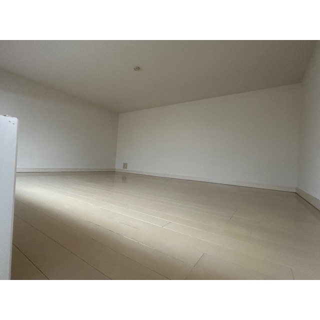 DHG恵201号室 内観