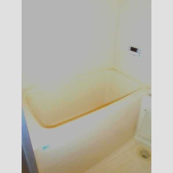 ティーワイパレス204号室 浴室